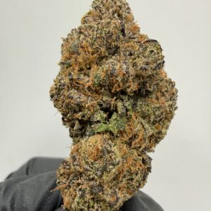 Marshmellow Madness Medley (Infused)