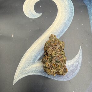 Obama Purp